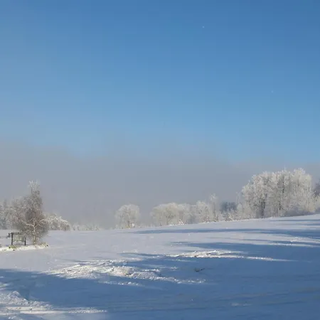 Welcome In - Mit Terrasse Und Wunderschoenem Blick Ueber Silbach Апартаменти *