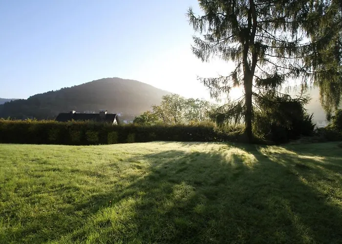 Welcome In - Met Terras En Prachtig Uitzicht Over Silbach Apartment